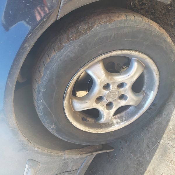 20190401_103739.jpg