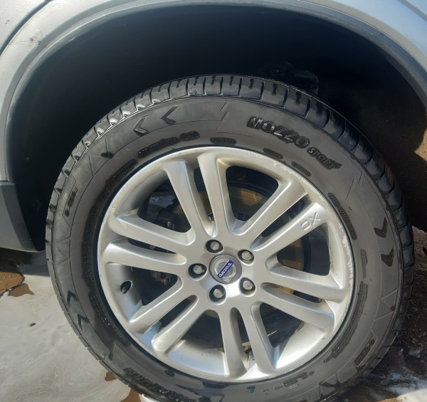 20190512_140308.jpg