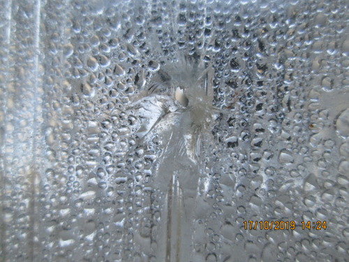 стекло фары_500.jpg