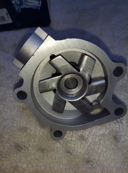 P91024-192406.jpg