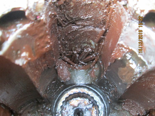 06.jpg