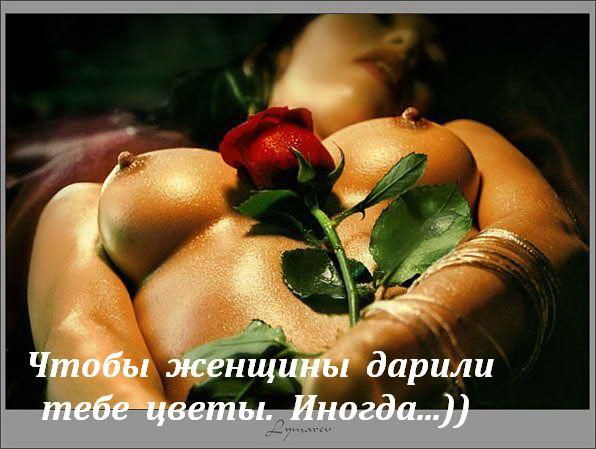 цветы.jpg