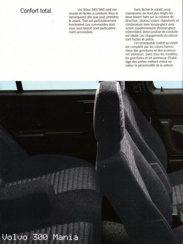 cat85_13.jpg