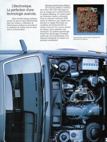cat85_23.jpg