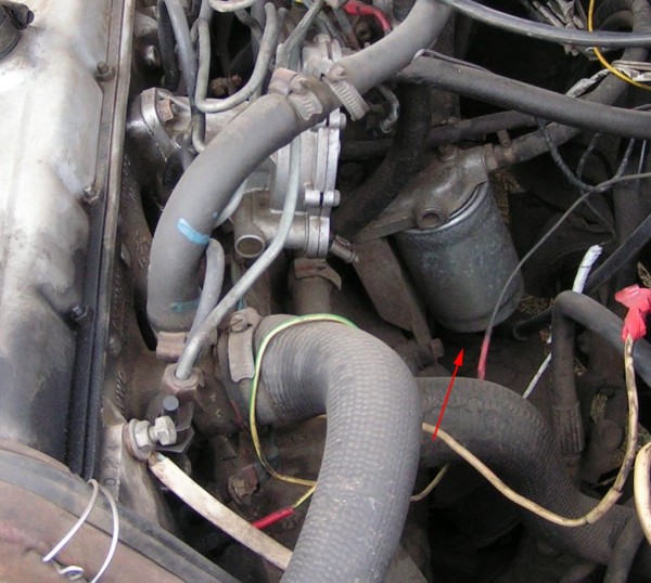 PICT8027.JPG