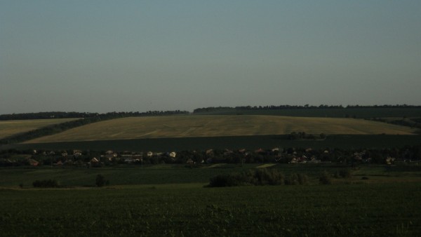 DSC01059.jpg