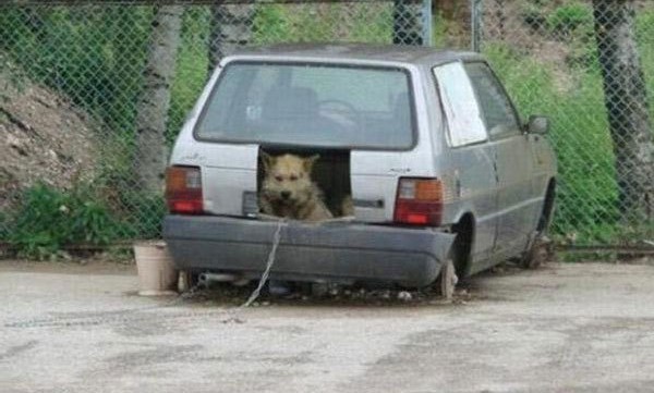 auto_25.jpg
