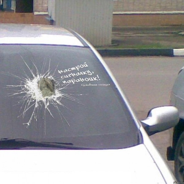 z6a.jpg
