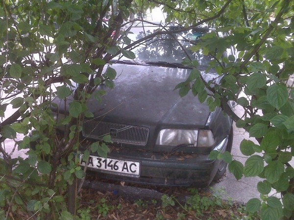 IMG00338.jpg