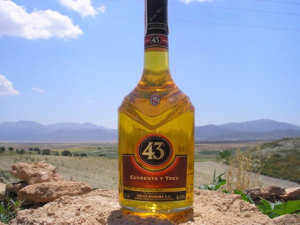 43.JPG