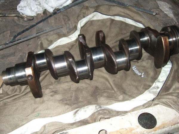 DSCF1833.jpg