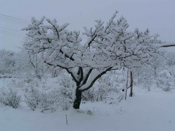 PICT0097=.jpg