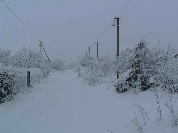 PICT0107=.jpg