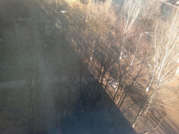 11122012273.jpg