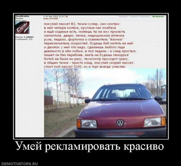 5897732.jpg