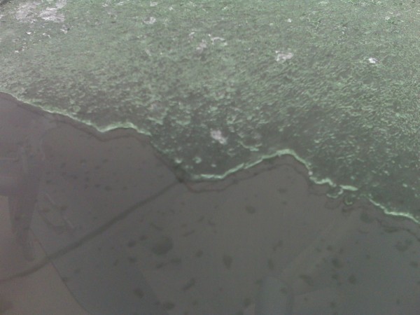 IMG00371.jpg