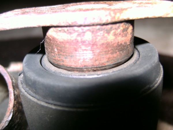 PICT5286.JPG