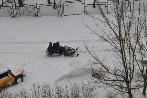 DSC_0233.JPG