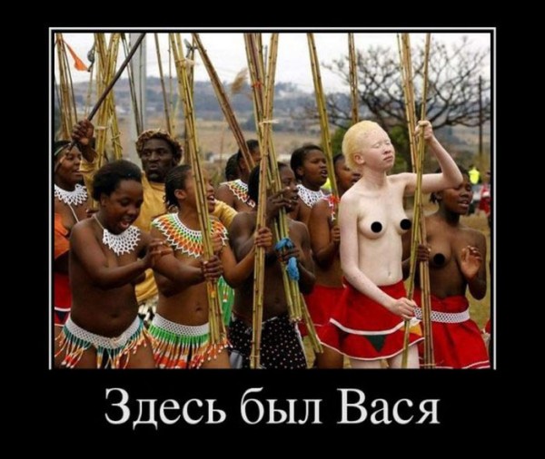 1364167368_demotivatory_14.jpg