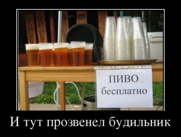 1364366250_demotivatory_25.jpg