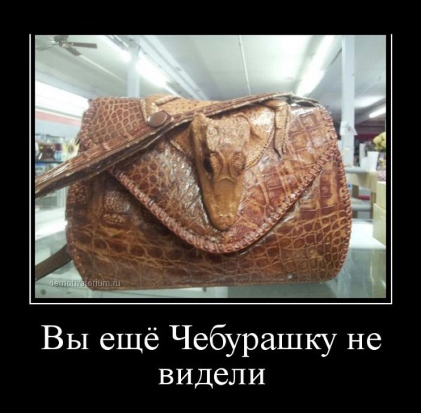 1364366277_demotivatory_10.jpg