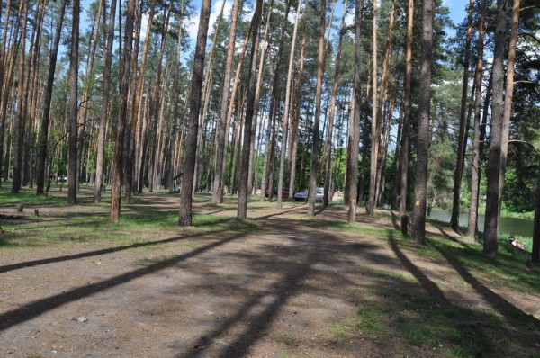 DSC_0556.JPG