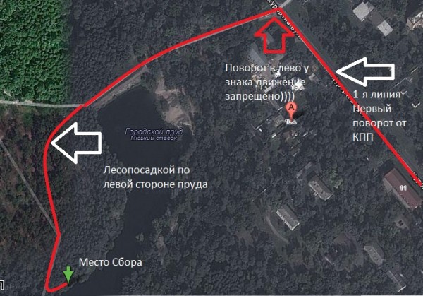 пуща 2.jpg