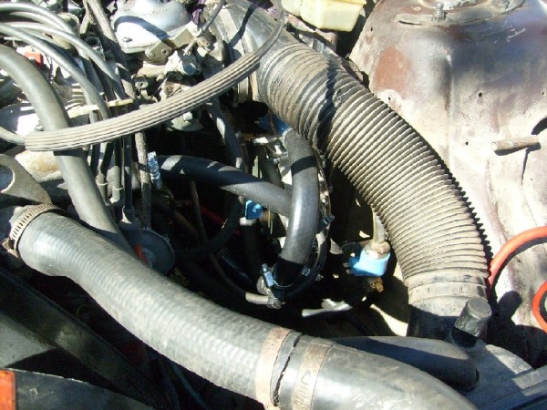 S7305182.JPG