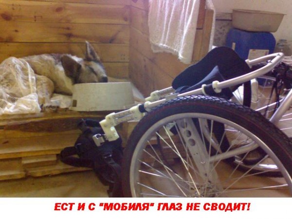 1е.jpg