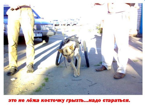 1ж.jpg