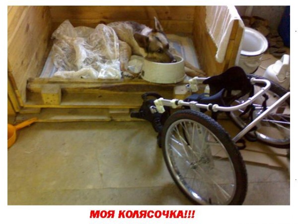 1и.jpg
