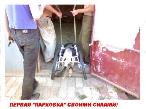 1к.jpg