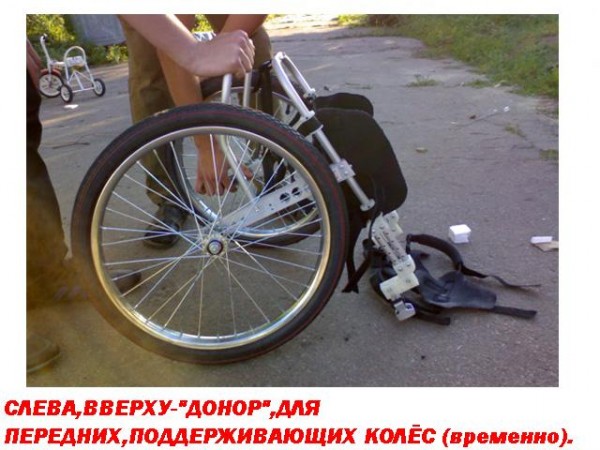 1л.jpg