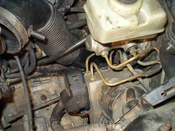 abs6.jpg