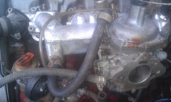 IMAG0533_resize.jpg