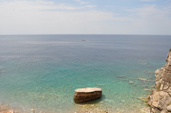 DSC_0419.JPG