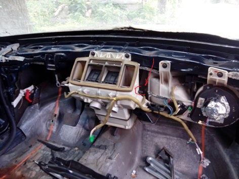 IMG_20130607_141746_500.jpg