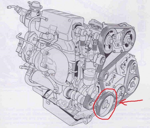 D19T.JPG