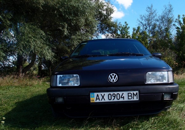 P01.jpg