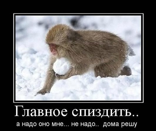 lnBHVT4Dv5Q.jpg