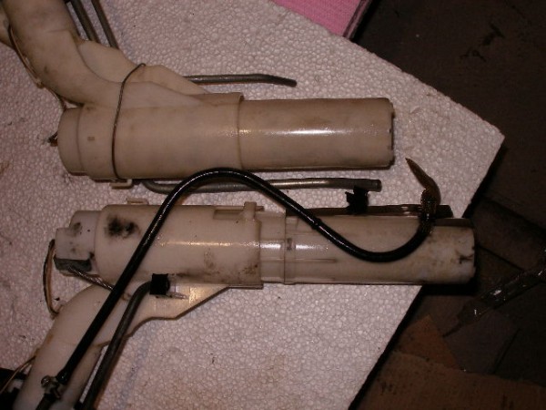 PB130219.JPG