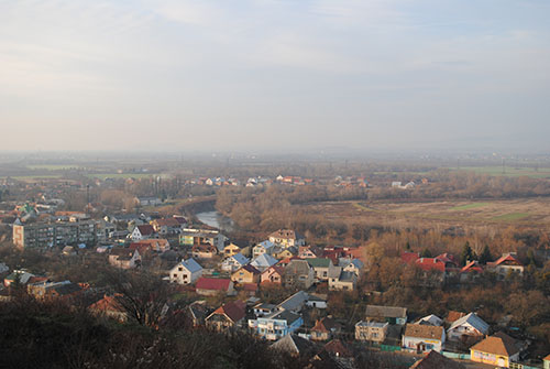 DSC_0323.jpg