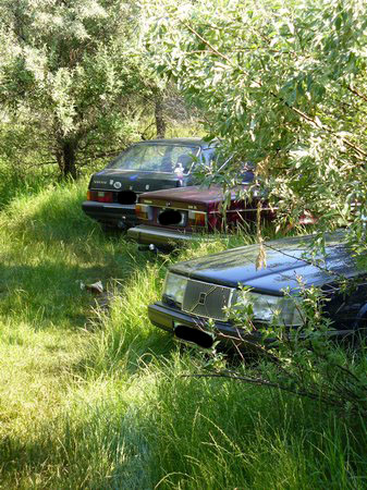 volvovody 13_06_2010_008.jpg