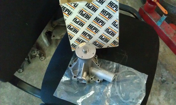IMAG0458.jpg