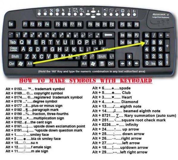 1625598_10151996588696840_1791295954_n.jpg