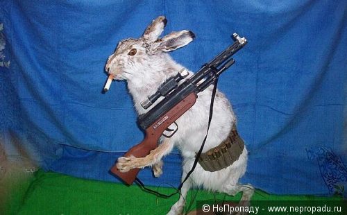 заяц.jpg