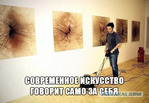 2847581.jpg