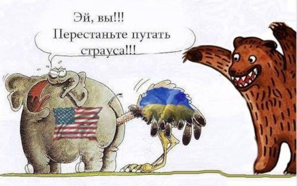 e0b46db2b3e88016d3f3bfbfe82_prev.jpg