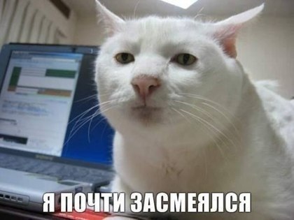 6LN3pWQK-5M.jpg