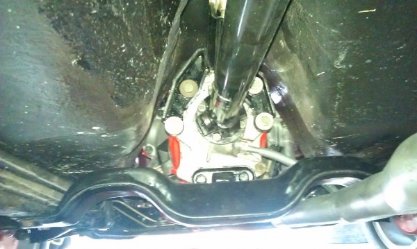 IMAG0807.jpg